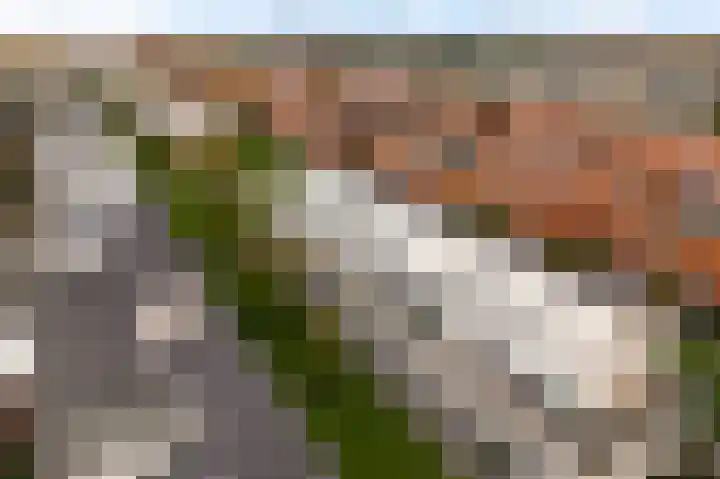 Stellendamstraat 39 Zoetermeer thumbnail 8