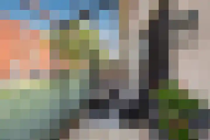 Stellendamstraat 45 Zoetermeer thumbnail 12