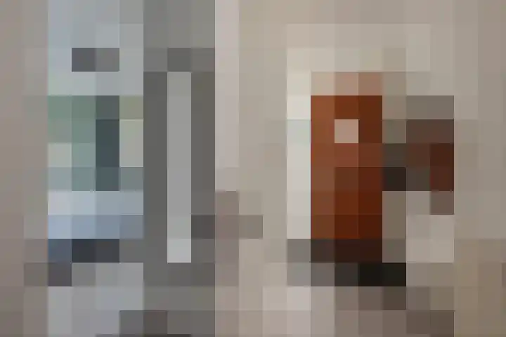 Stellendamstraat 45 Zoetermeer thumbnail 17