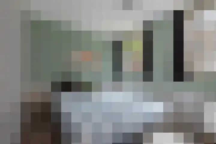 Stellendamstraat 45 Zoetermeer thumbnail 18