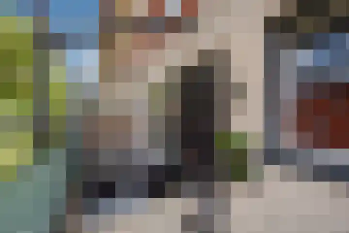 Stellendamstraat 45 Zoetermeer thumbnail 4