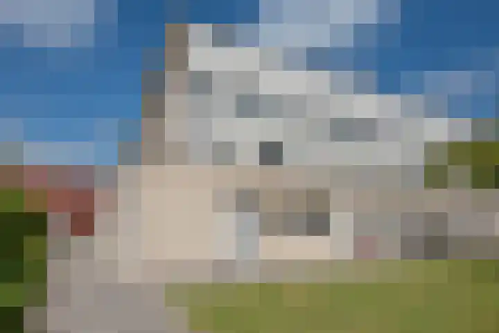 Stellendamstraat 45 Zoetermeer thumbnail 7