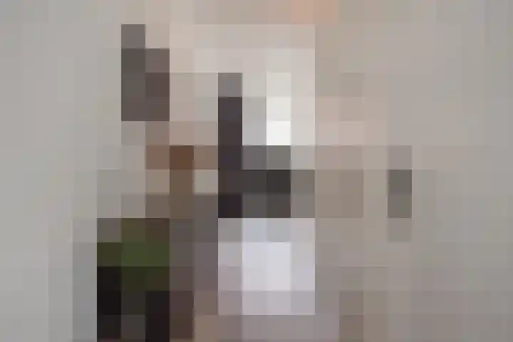 Stellendamstraat 45 Zoetermeer thumbnail 8