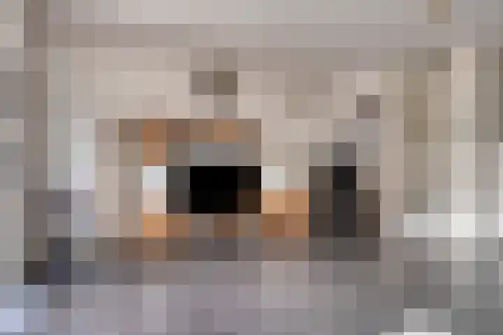 Stellendamstraat 61 Zoetermeer thumbnail 10
