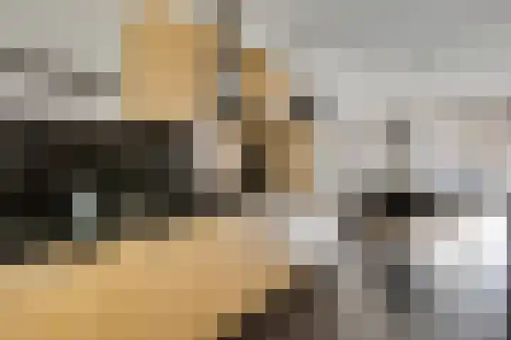 Stellendamstraat 61 Zoetermeer thumbnail 14