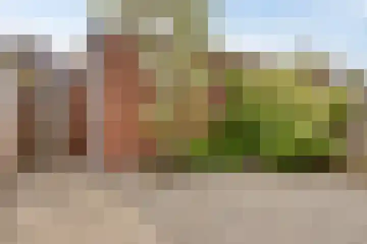 Stellendamstraat 61 Zoetermeer thumbnail 19