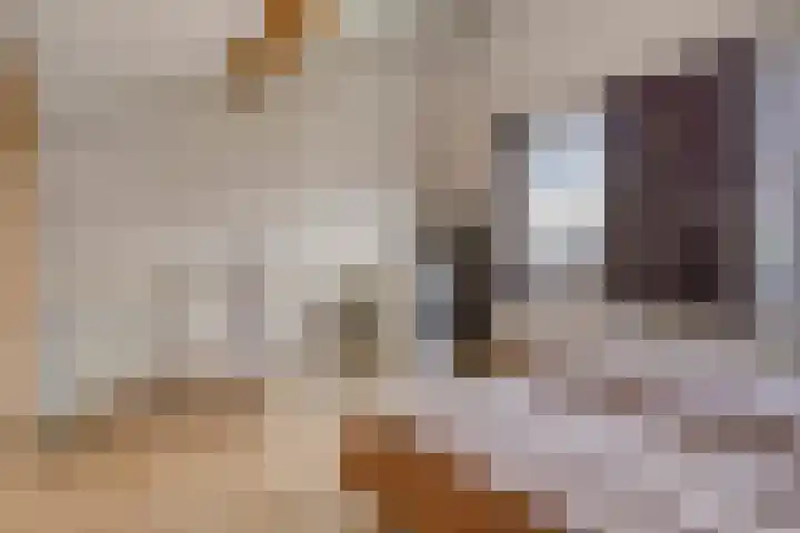Stellendamstraat 61 Zoetermeer thumbnail 31