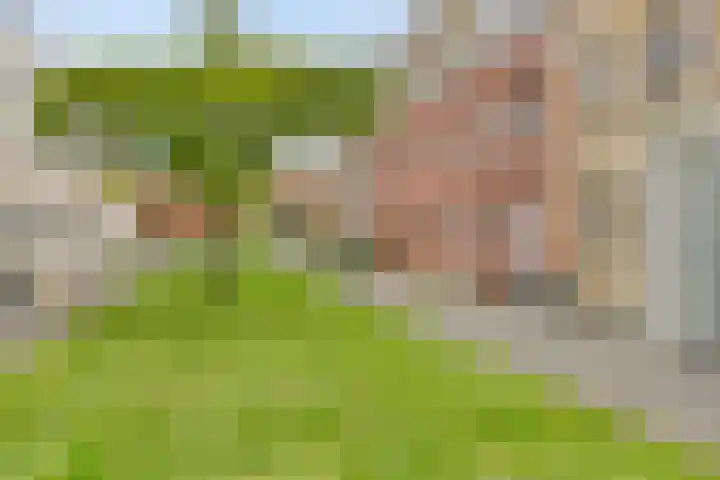 Stellendamstraat 61 Zoetermeer thumbnail 34