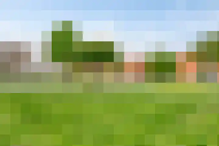 Stellendamstraat 61 Zoetermeer thumbnail 36