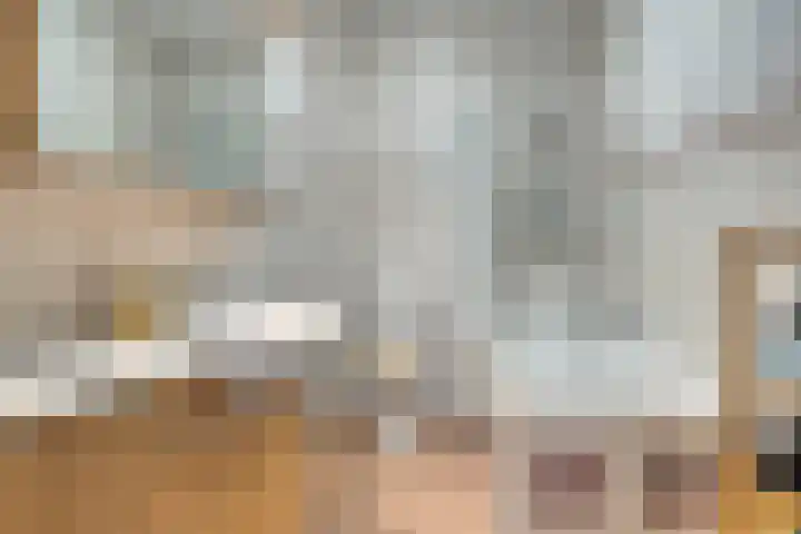 Stellendamstraat 61 Zoetermeer thumbnail 4