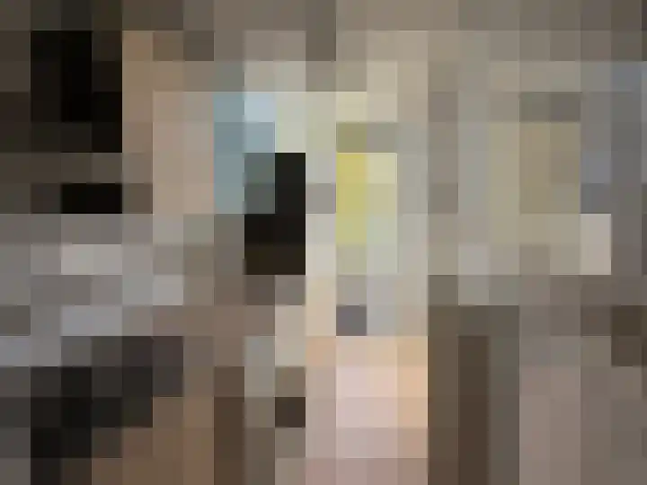 Stellendamstraat 69 C Rotterdam thumbnail 6