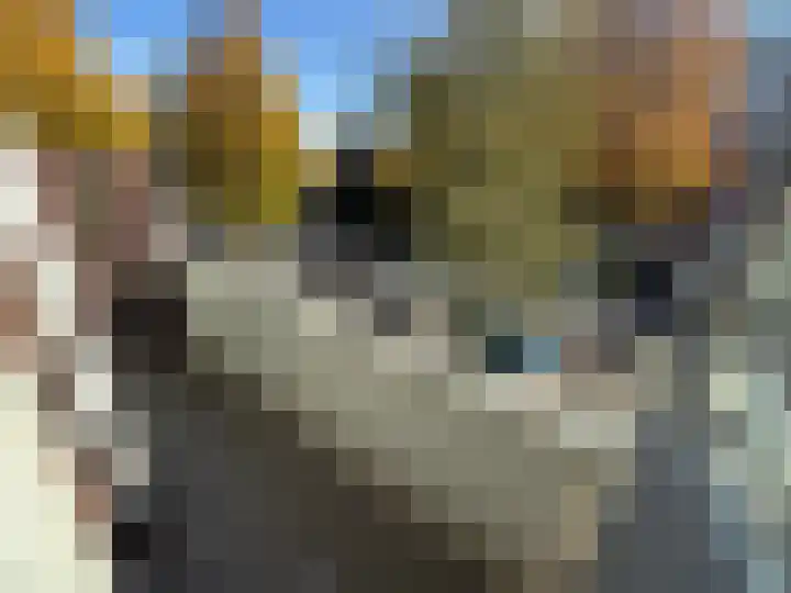 Stellendamstraat 69 C Rotterdam thumbnail 9