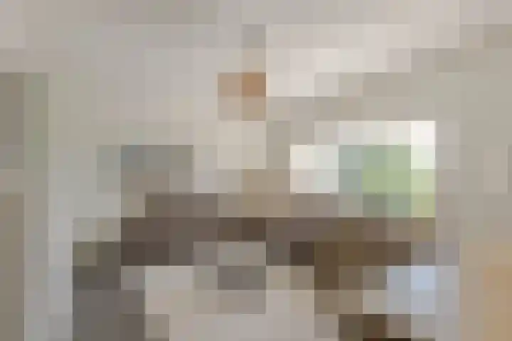 Stellendamstraat 86 B Rotterdam thumbnail 10