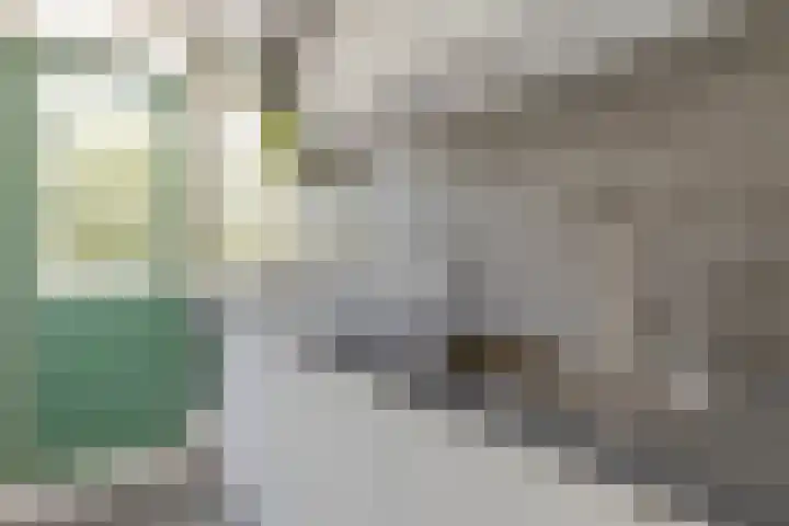 Stellendamstraat 86 B Rotterdam thumbnail 12