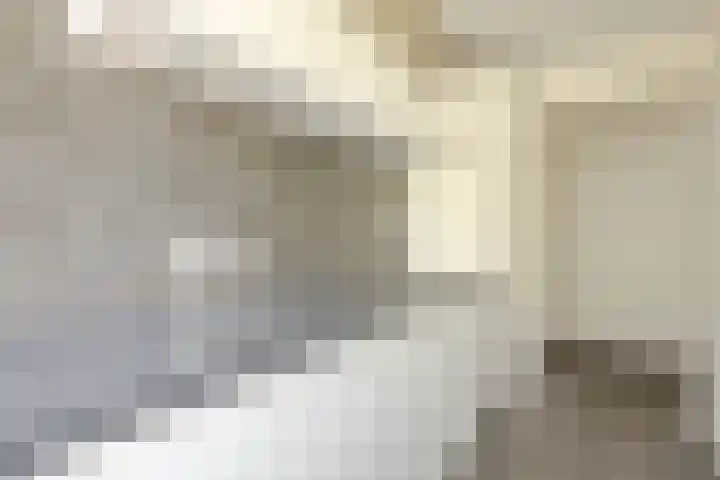 Stellendamstraat 86 B Rotterdam thumbnail 13