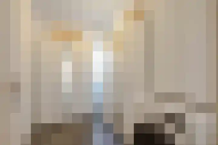 Stellendamstraat 86 B Rotterdam thumbnail 17