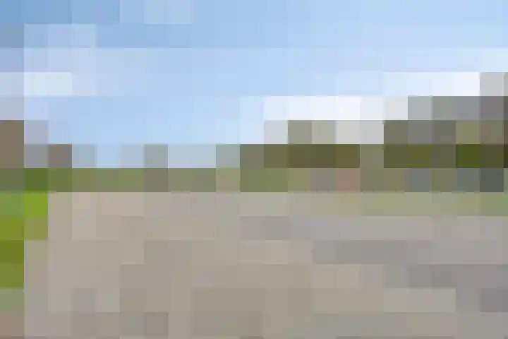 Stelleplas 150 A Heinkenszand thumbnail 30