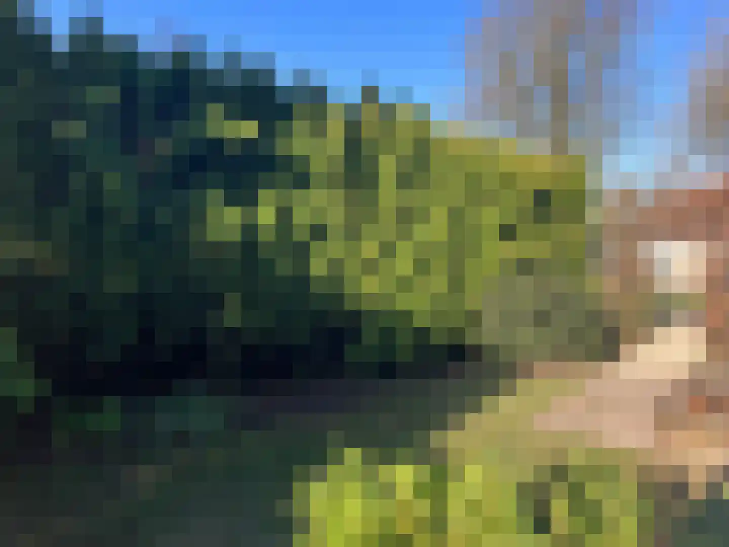 Stelleplas 2 A Heinkenszand thumbnail 8
