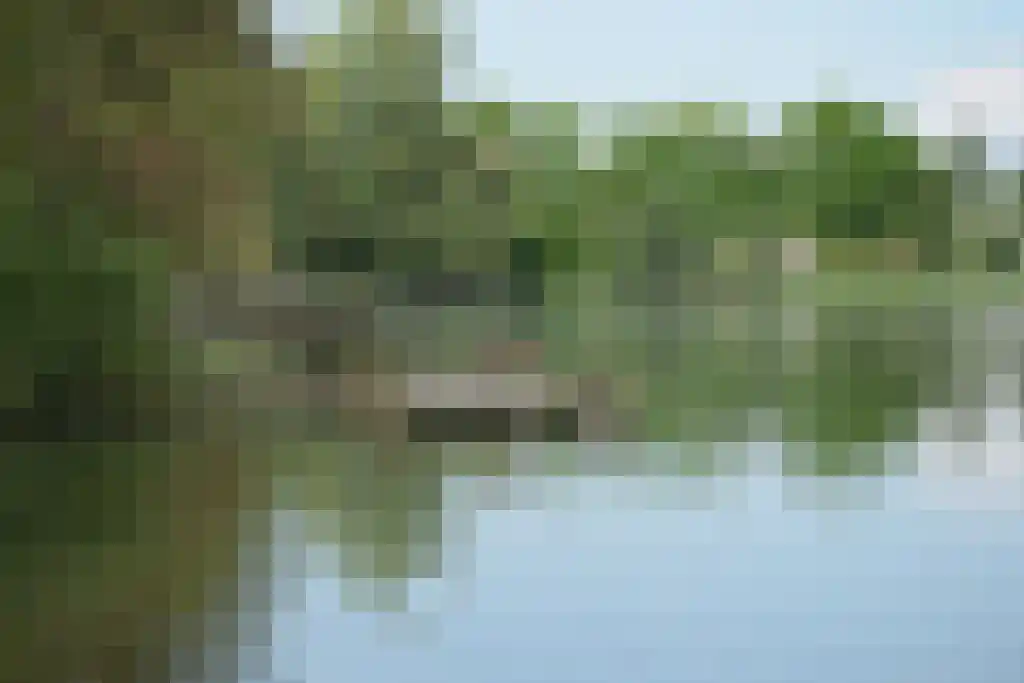 Stelleplas 240 Heinkenszand thumbnail 31