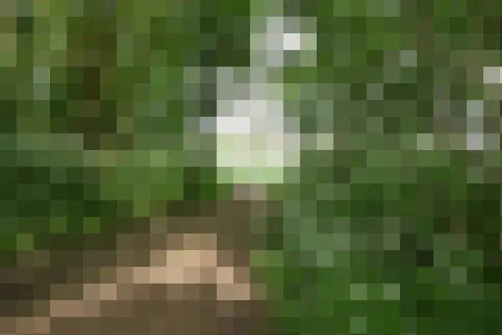 Stelleplas 240 Heinkenszand thumbnail 32