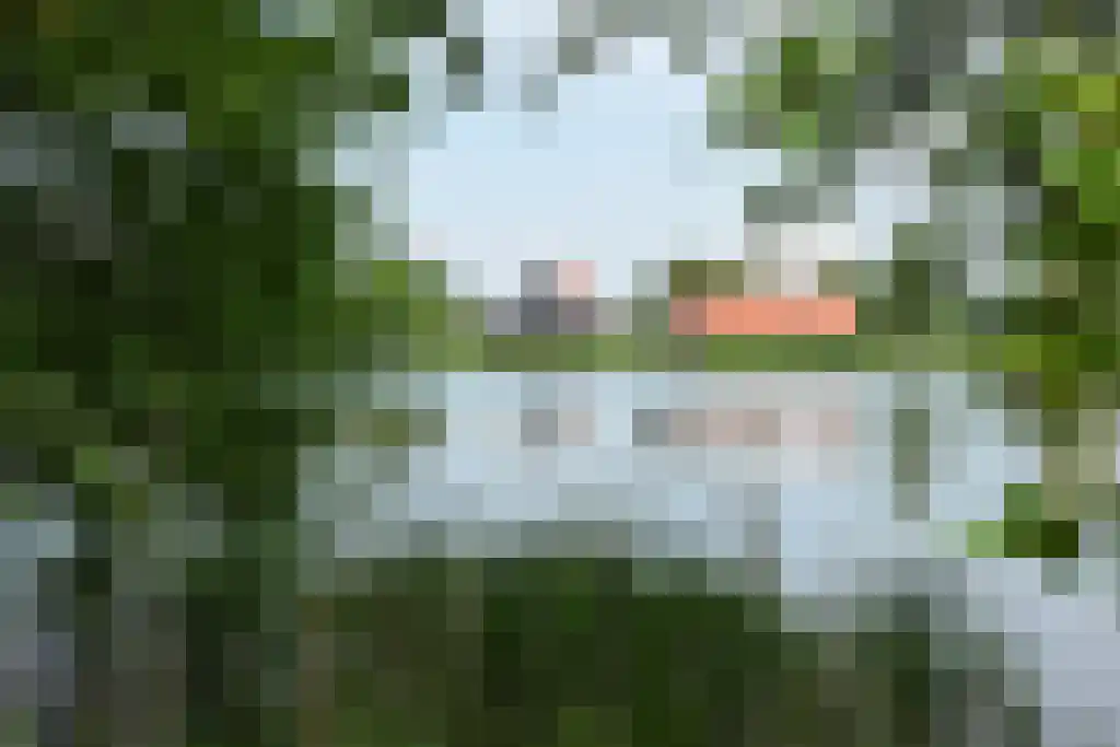 Stelleplas 240 Heinkenszand thumbnail 34
