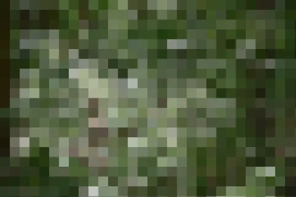 Stelleplas 240 Heinkenszand thumbnail 35