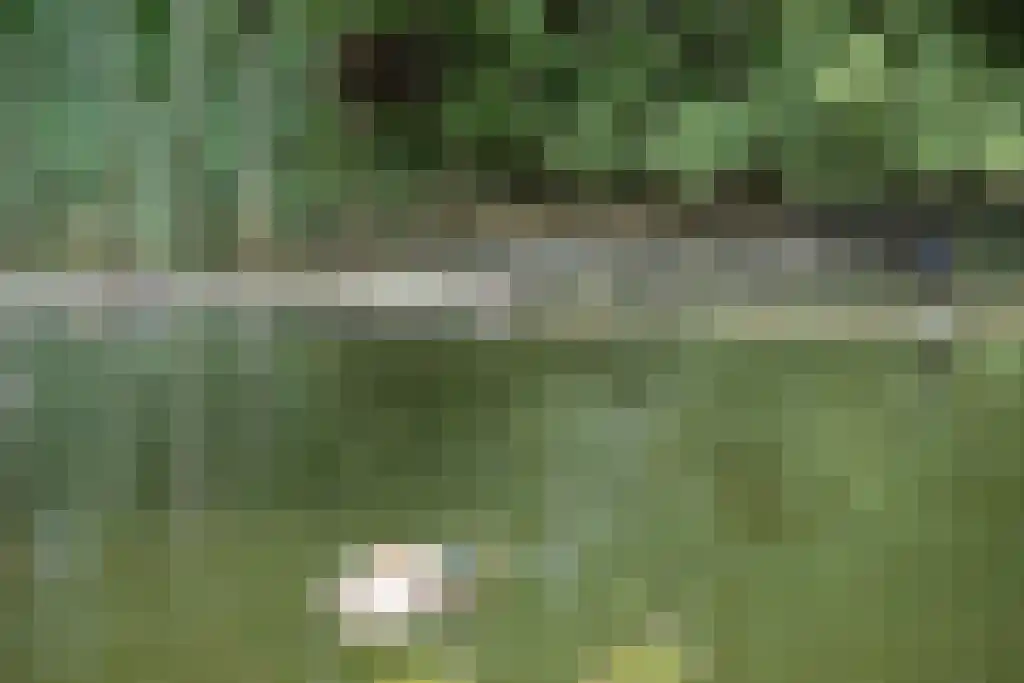 Stelleplas 240 Heinkenszand thumbnail 36