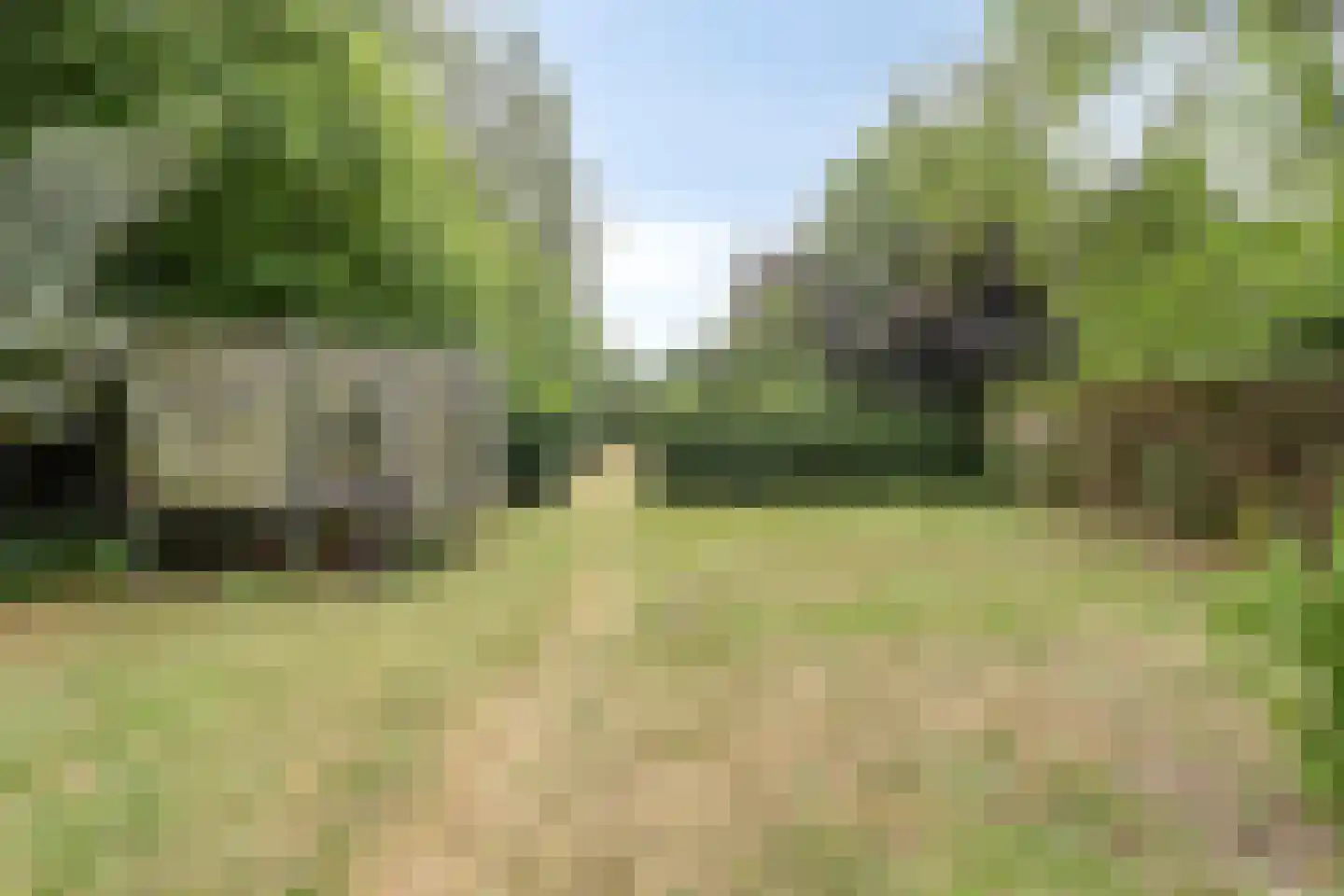 Stellestraat 11 Hulst thumbnail 26
