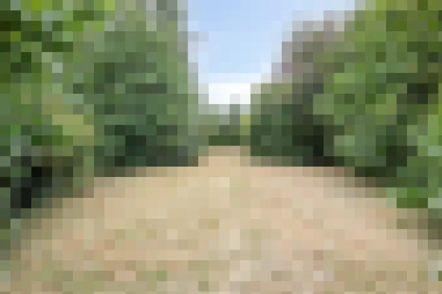 Stellestraat 11 Hulst thumbnail 27