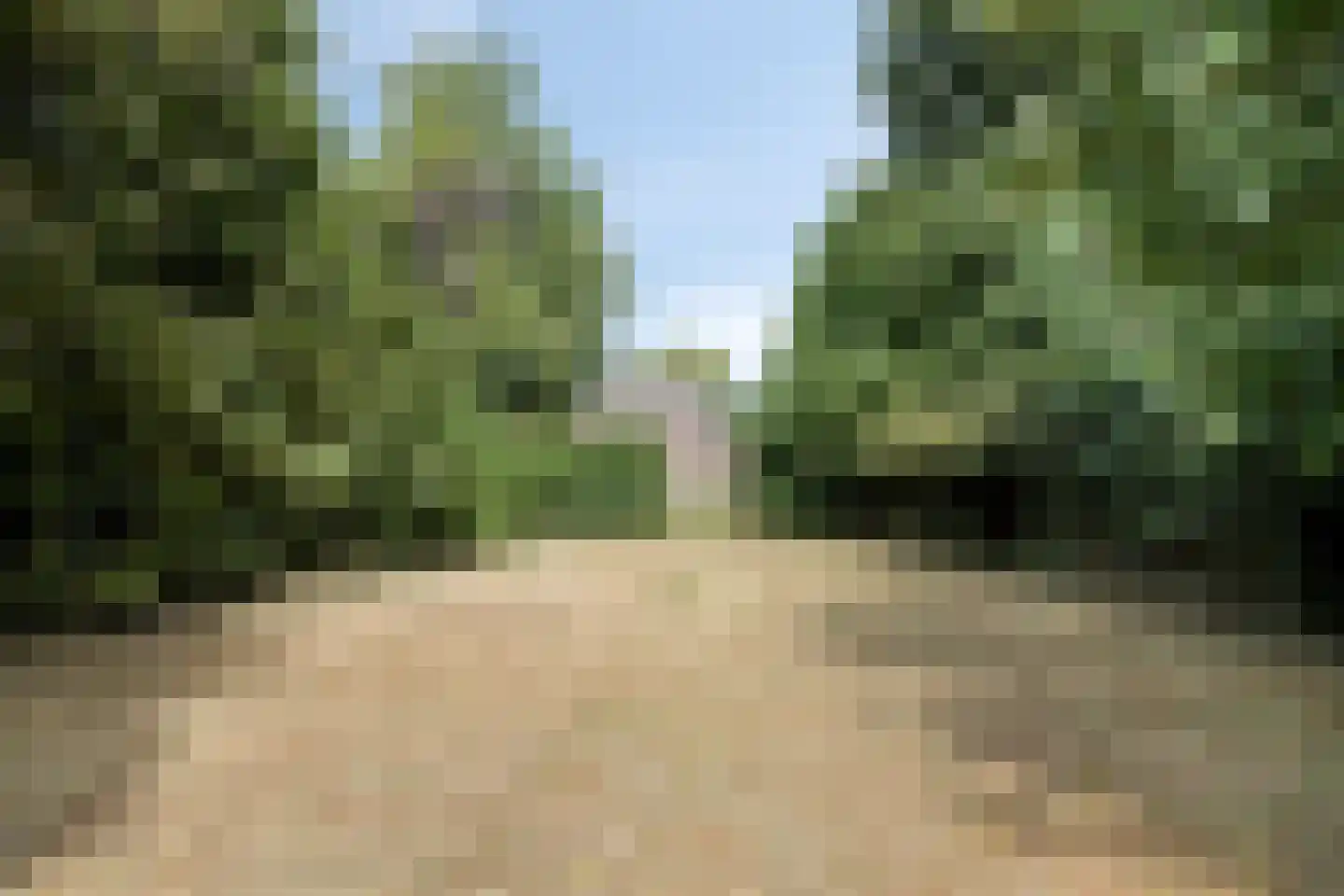 Stellestraat 11 Hulst thumbnail 30