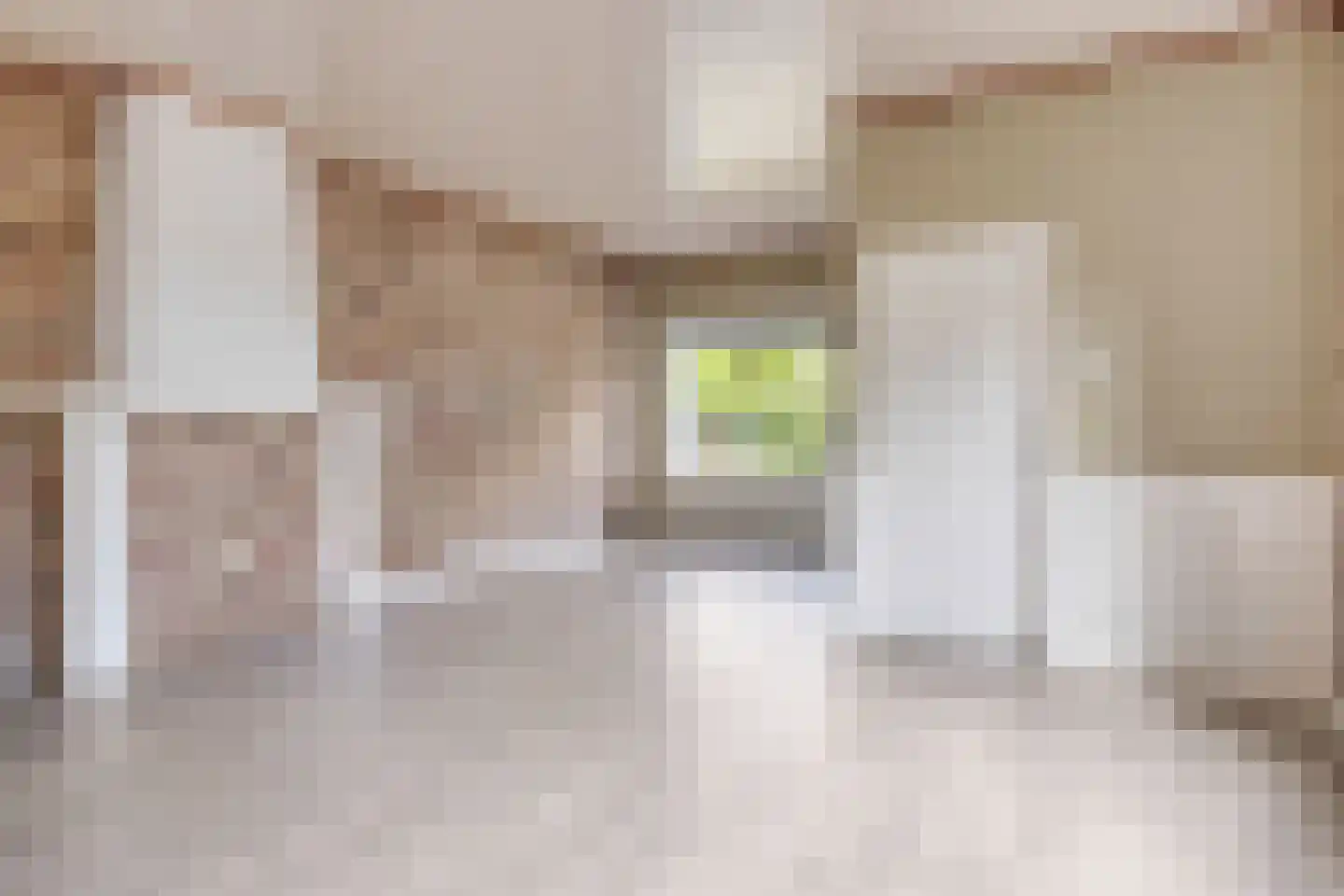 Stellestraat 11 Hulst thumbnail 4