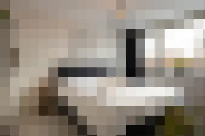 Stellestraat 30 Rilland thumbnail 21