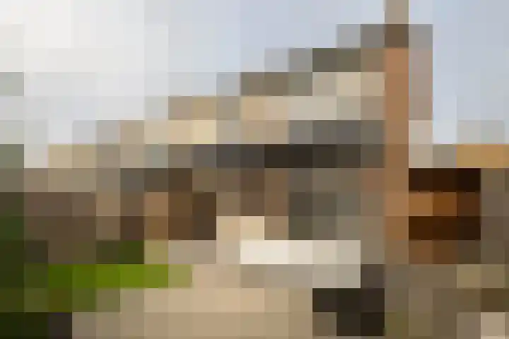 Stellestraat 30 Rilland thumbnail 29