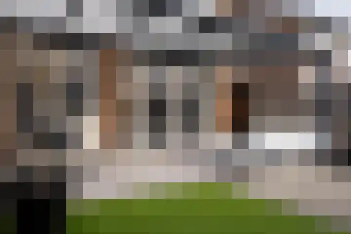 Stellestraat 30 Rilland thumbnail 31
