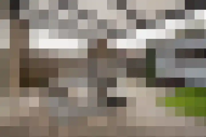 Stellestraat 30 Rilland thumbnail 32