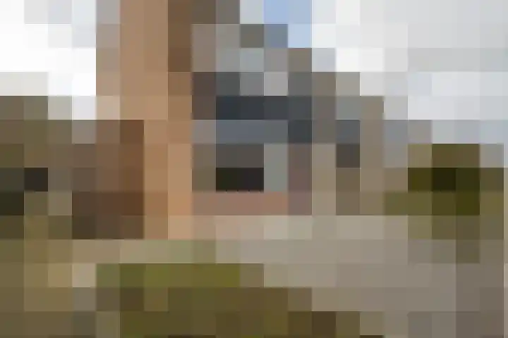 Stellestraat 30 Rilland thumbnail 36