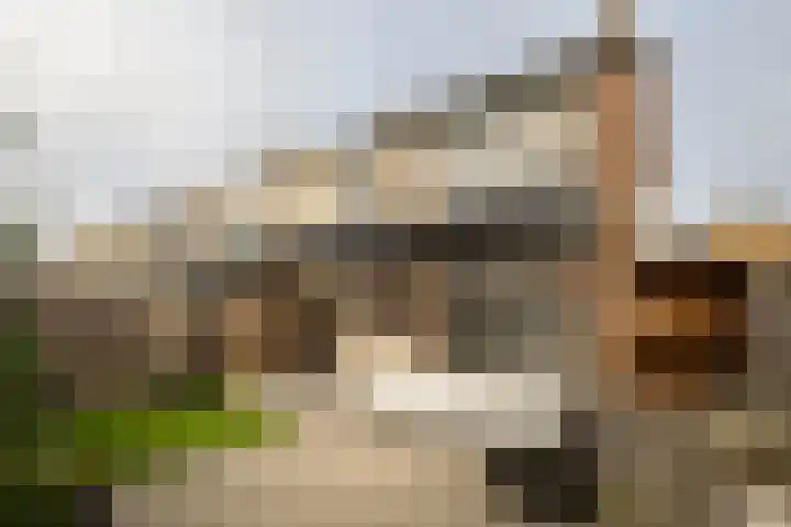 Stellestraat 30 Rilland thumbnail 4