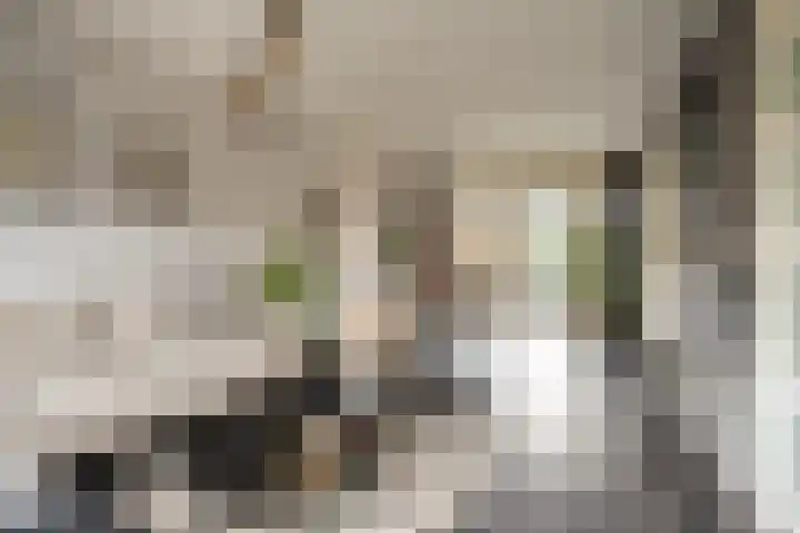 Stellestraat 30 Rilland thumbnail 5