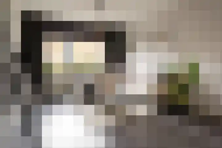 Stellestraat 30 Rilland thumbnail 6