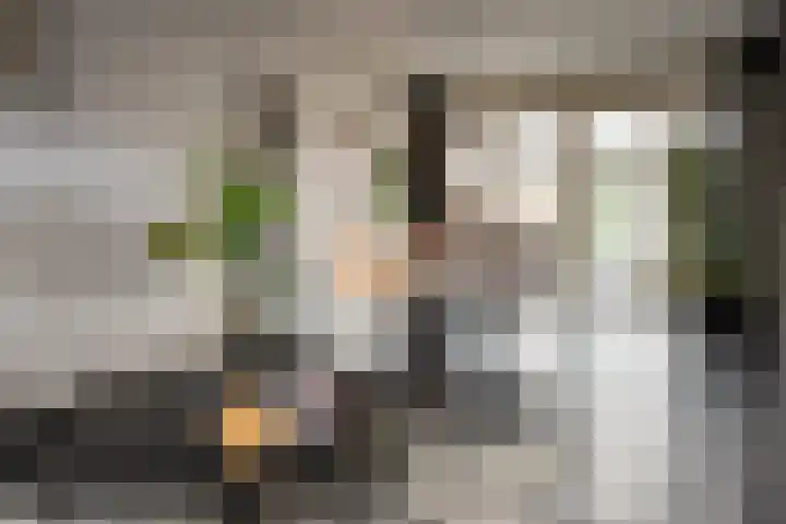 Stellestraat 30 Rilland thumbnail 9