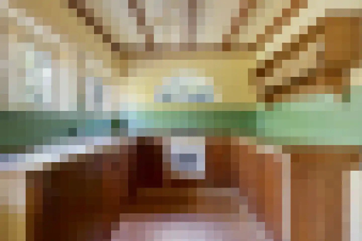 Stellestraat 9 Hulst thumbnail 11