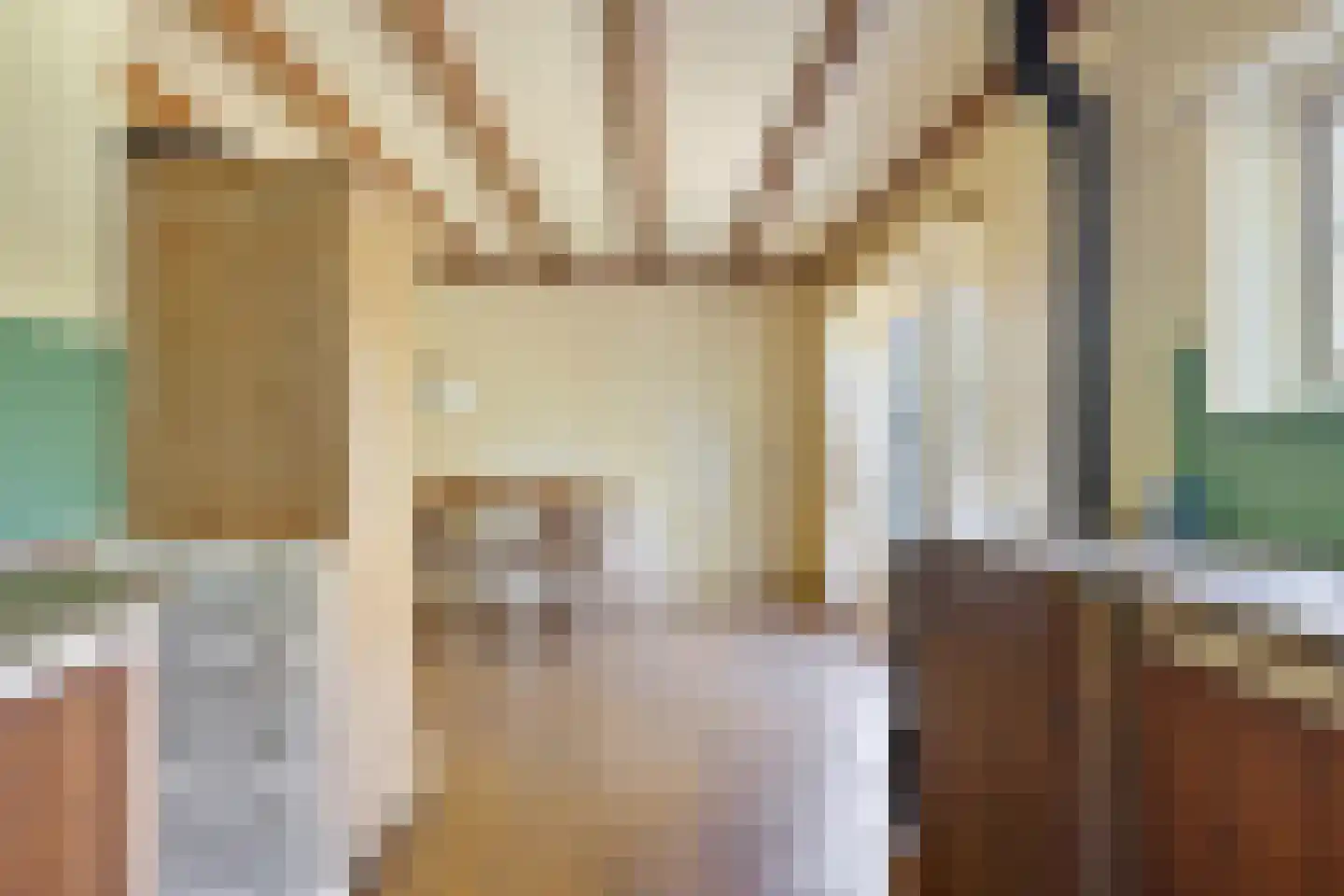 Stellestraat 9 Hulst thumbnail 12