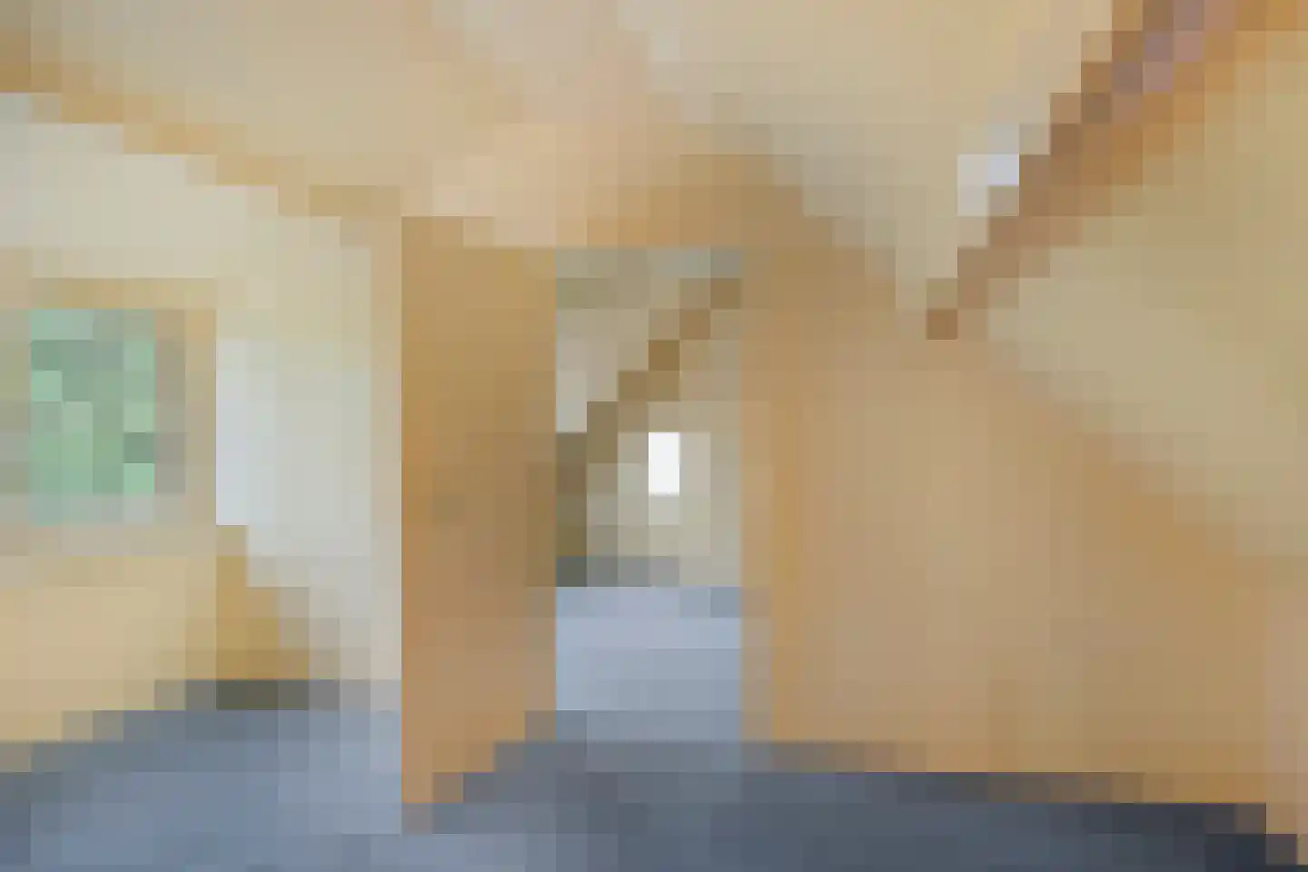 Stellestraat 9 Hulst thumbnail 18