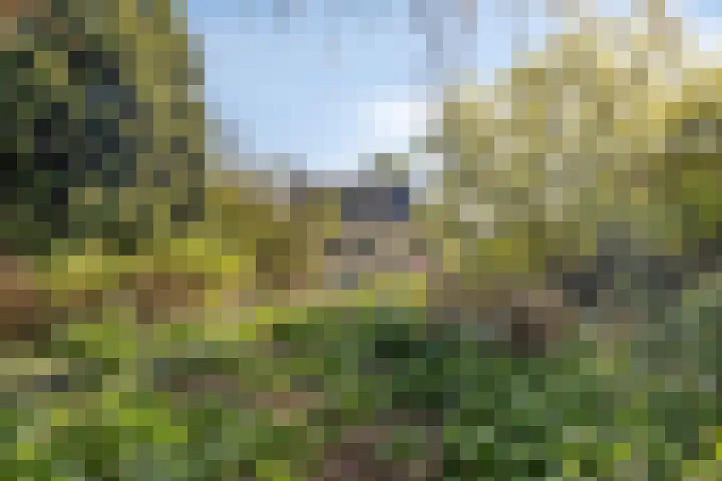Stellestraat 9 Hulst thumbnail 23