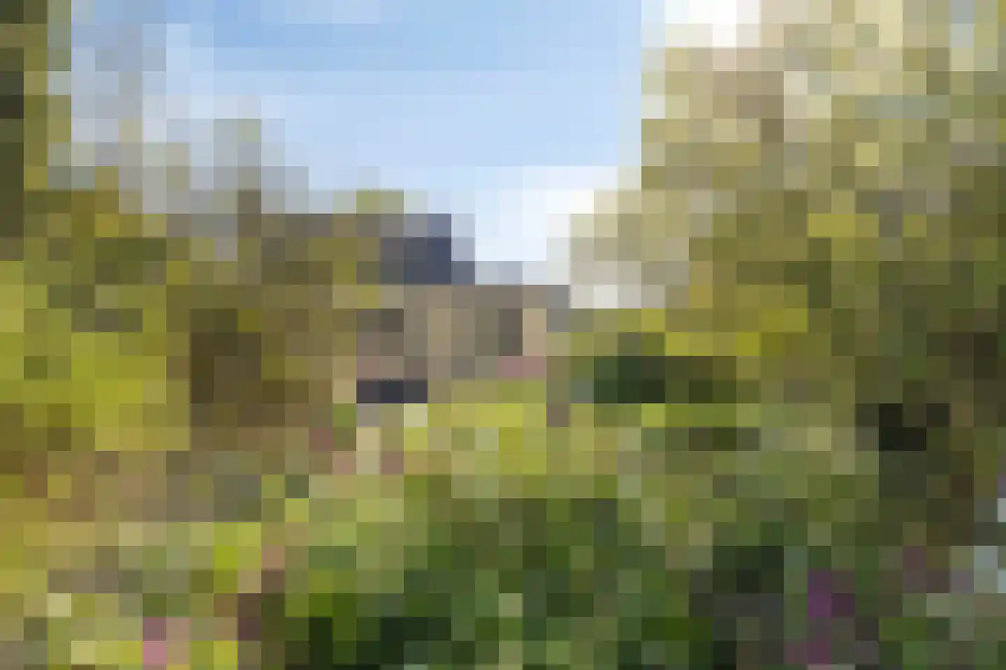 Stellestraat 9 Hulst thumbnail 24