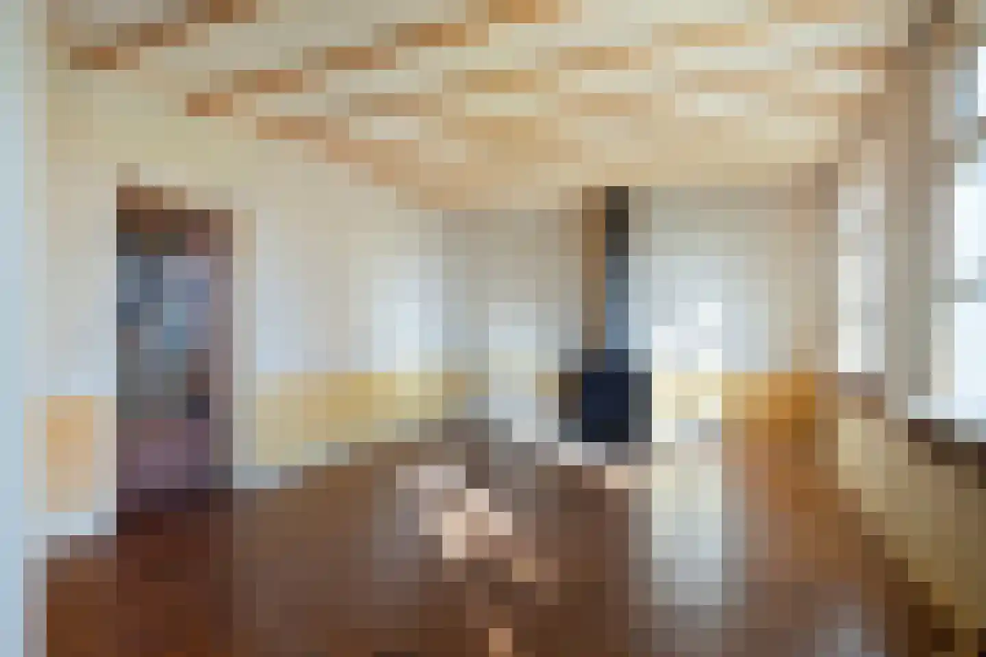 Stellestraat 9 Hulst thumbnail 5