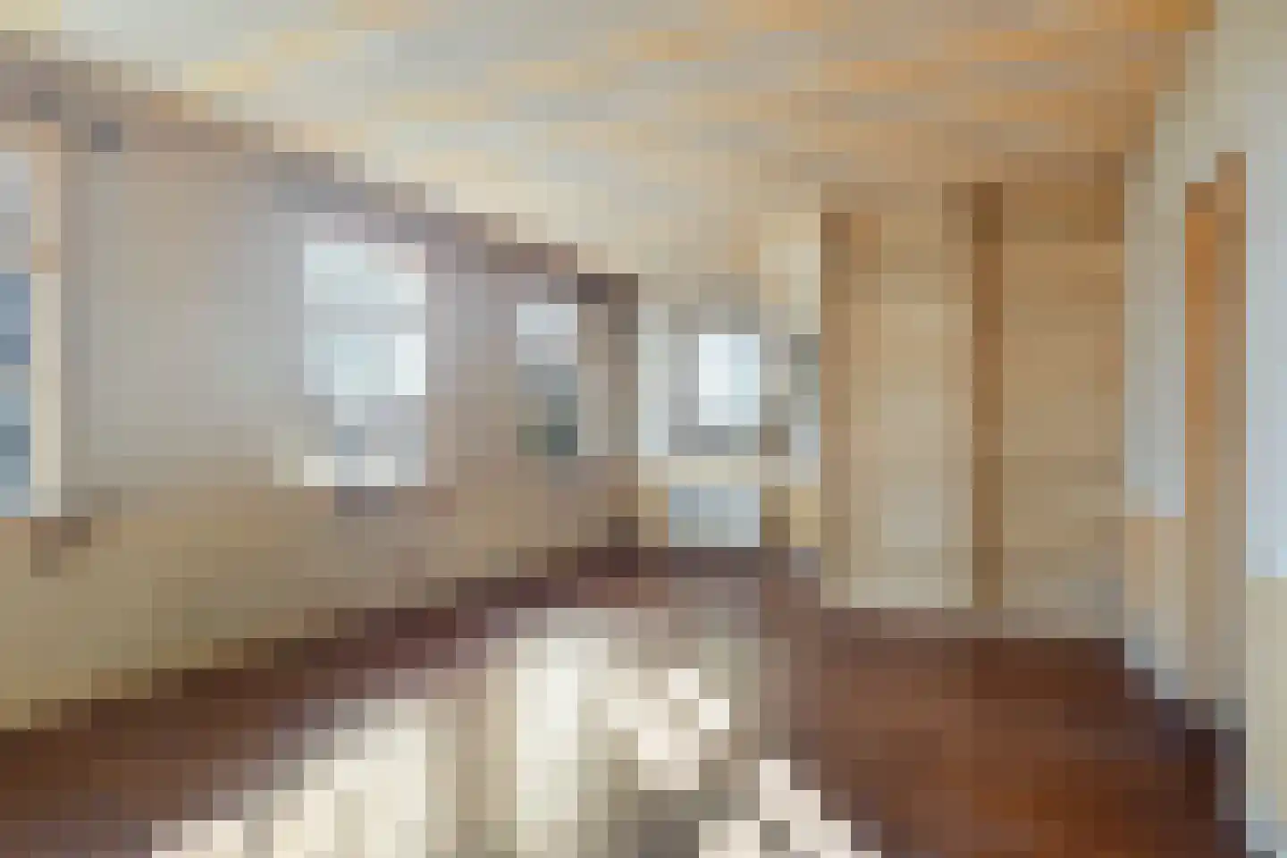 Stellestraat 9 Hulst thumbnail 6