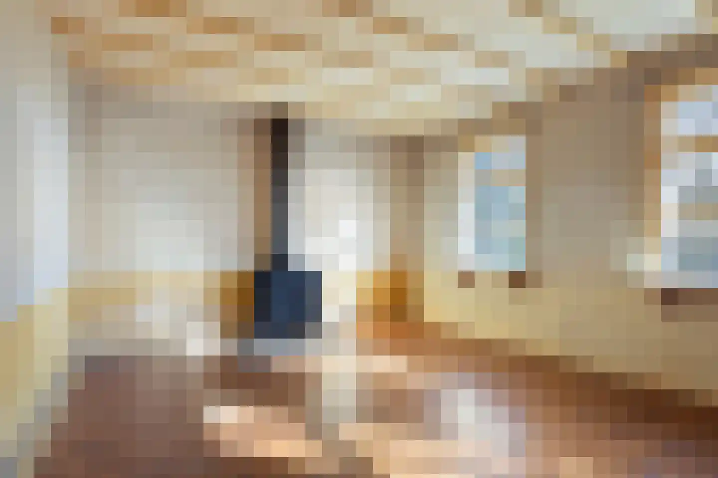 Stellestraat 9 Hulst thumbnail 8