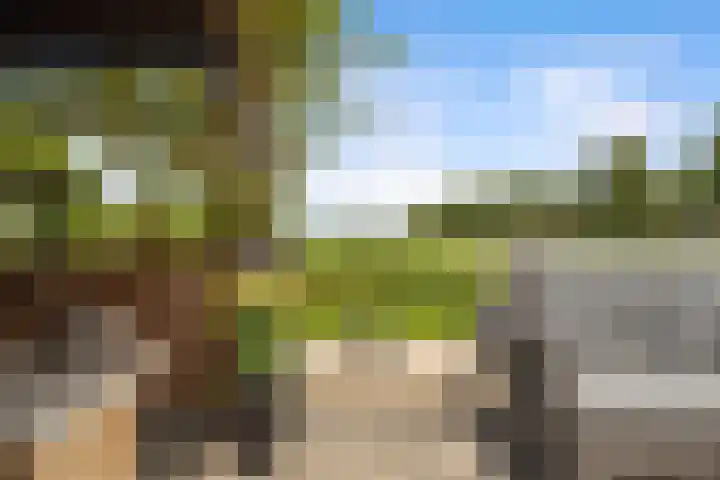 Stelleveld 5 Mijnsheerenland thumbnail 11