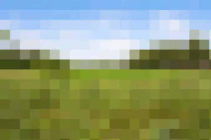 Stelleveld 5 Mijnsheerenland thumbnail 13